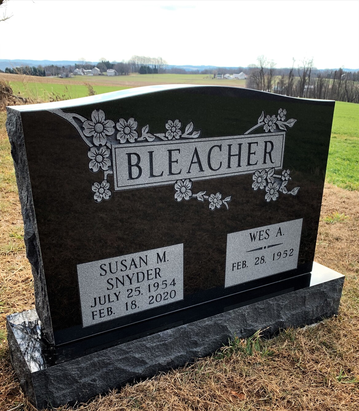 Bleacher-Sue.jpg