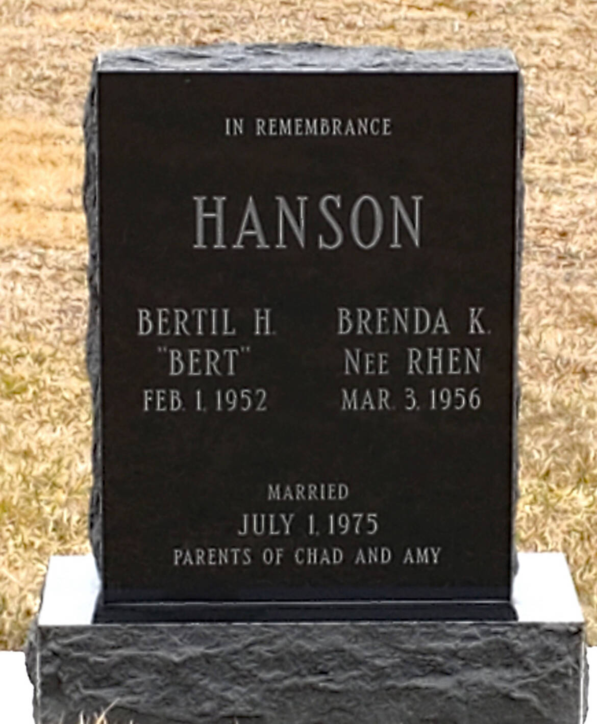 Hanson-Bertil-scaled.jpg