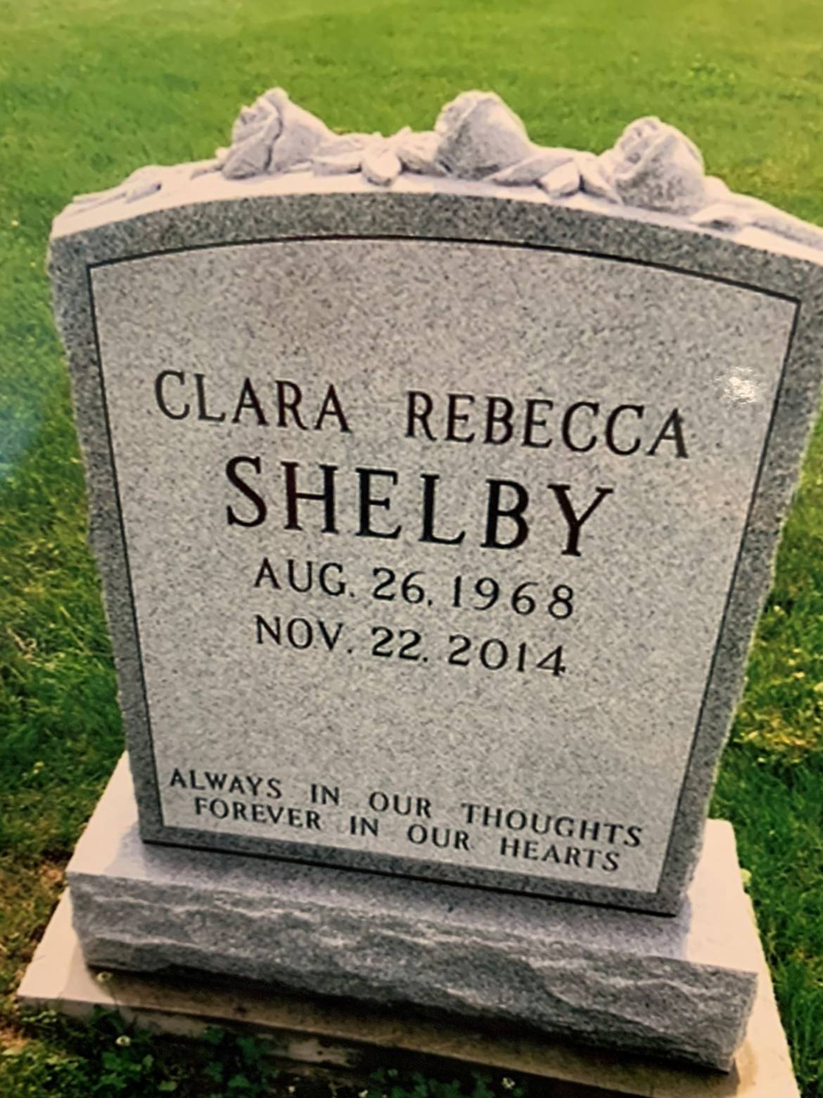 Shelby.jpg
