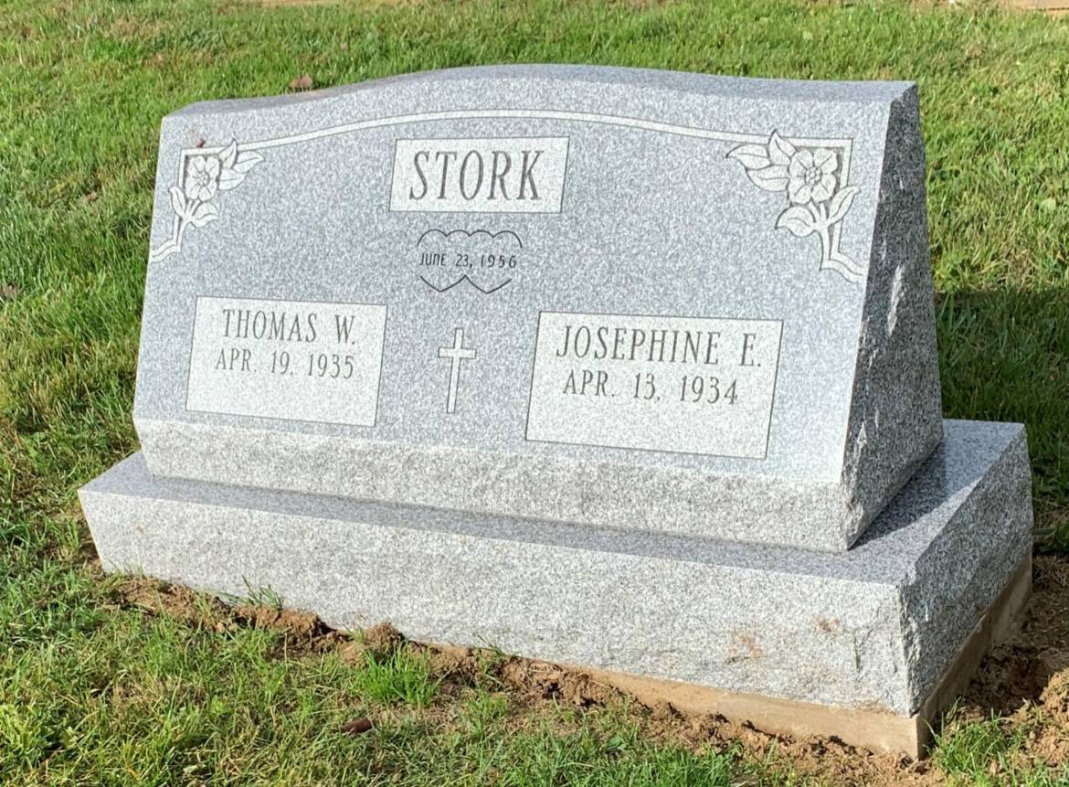 Stork.jpg